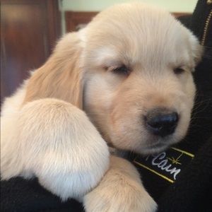 Meet your Posher, Carly